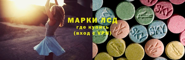 прущие грибы Дмитриев