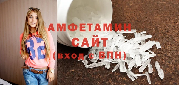 прущие грибы Дмитриев