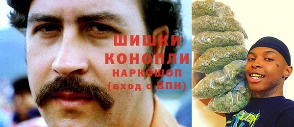 прущие грибы Дмитриев