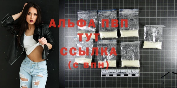 прущие грибы Дмитриев