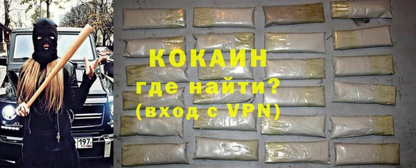 прущие грибы Дмитриев