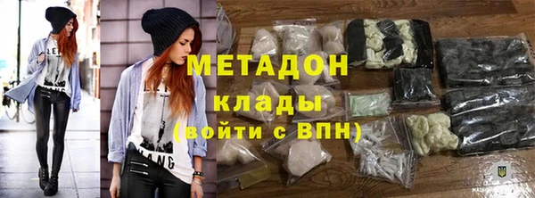 прущие грибы Дмитриев