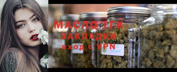 прущие грибы Дмитриев