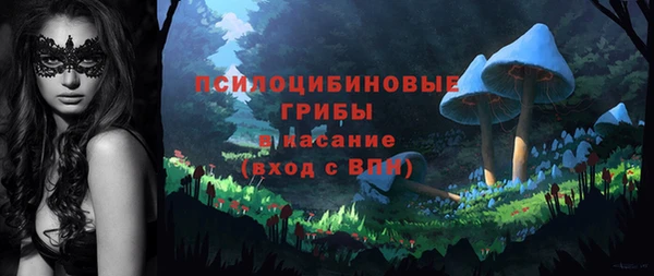 герыч Сясьстрой