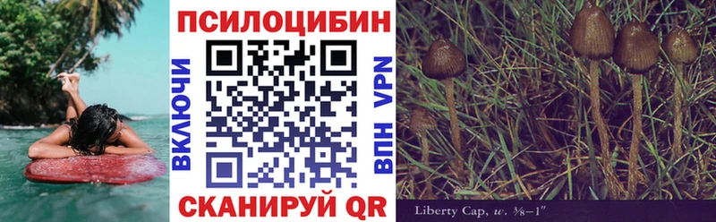 Галлюциногенные грибы Psilocybe  Зуевка 